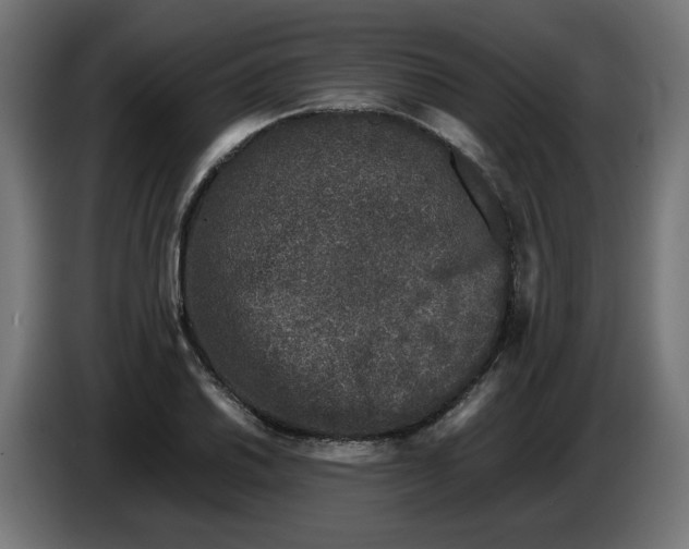 X0000086031030200704131908