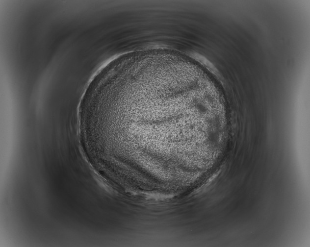 X0000086031031200704131908