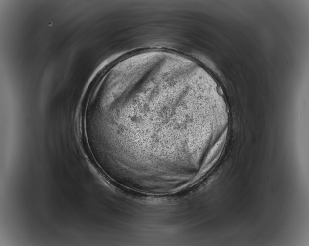 X0000086031032200704131908