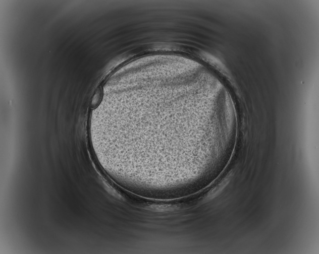 X0000086031033200704131908