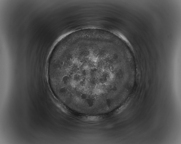 X0000086031035200704131908