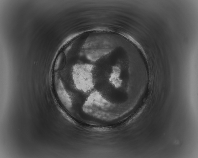 X0000086031037200704131908