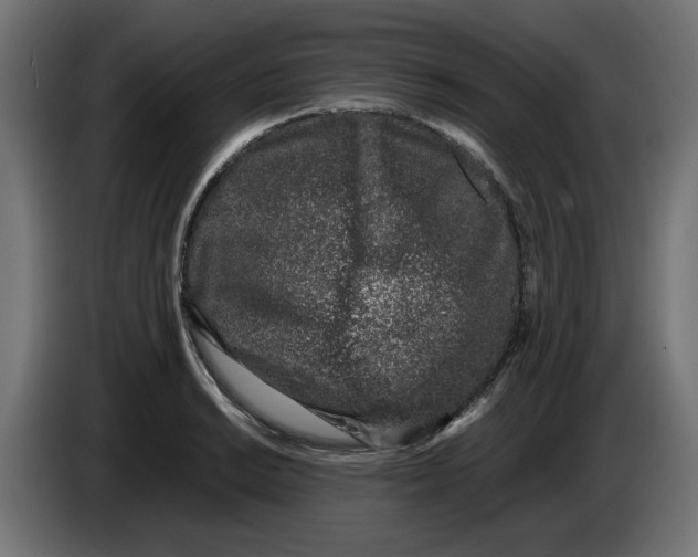 X0000086031038200704131908