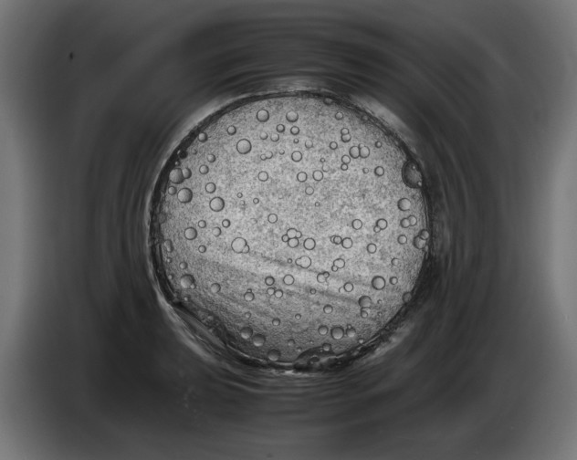 X0000086031039200704131908