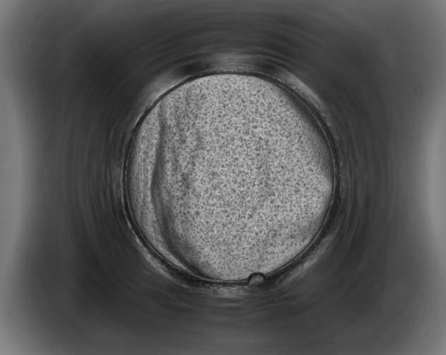 X0000086031041200704131908