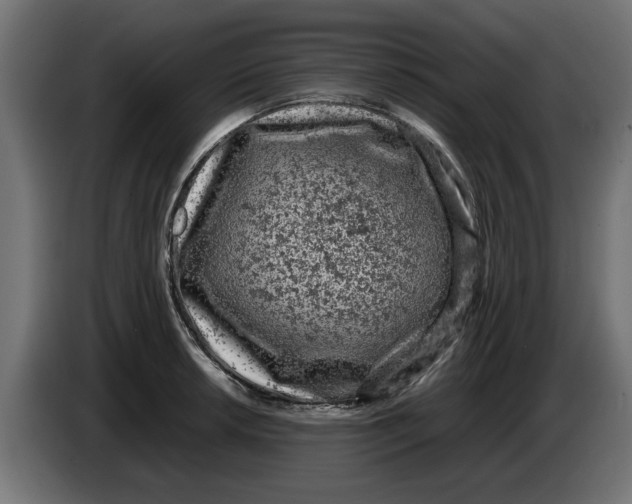 X0000086031042200704131908