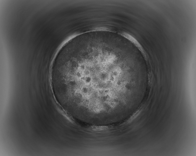 X0000086031043200704131908