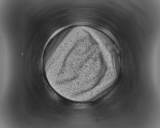 X0000086031044200704131908