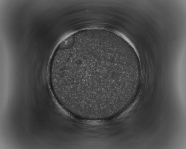 X0000086031045200704131908