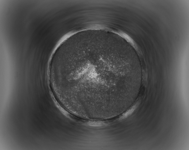 X0000086031046200704131908