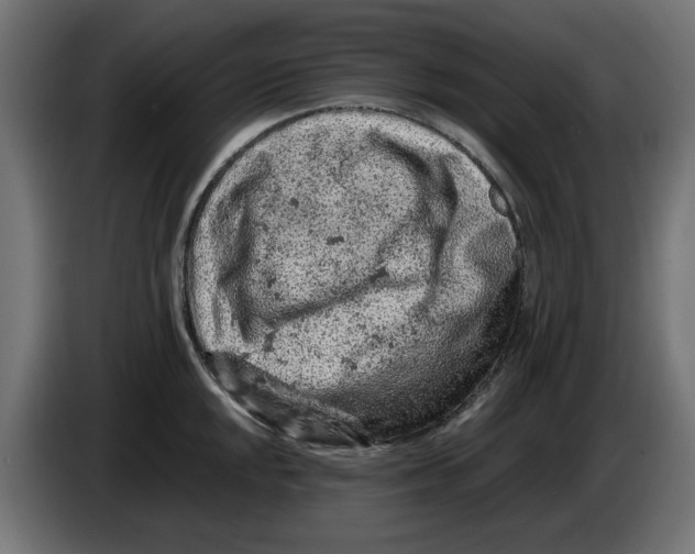 X0000086031048200704131908