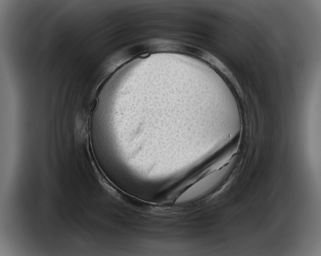 X0000086031049200704131908