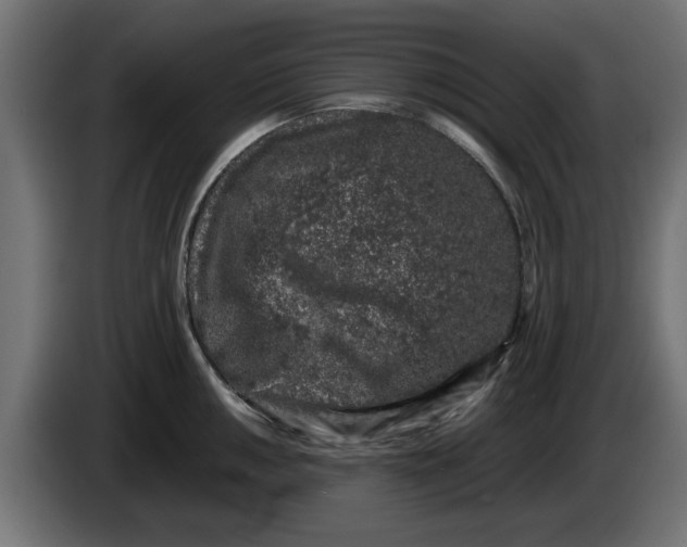 X0000086031050200704131908