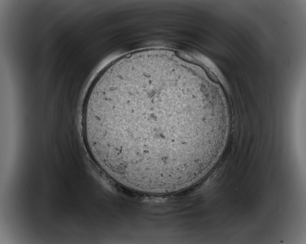 X0000086031051200704131908