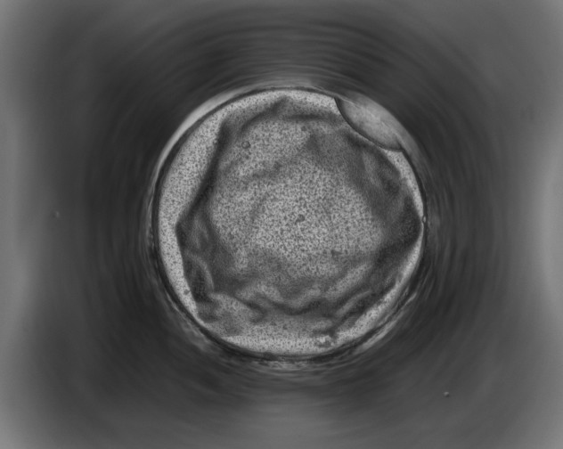 X0000086031052200704131908