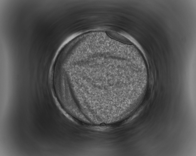 X0000086031053200704131908