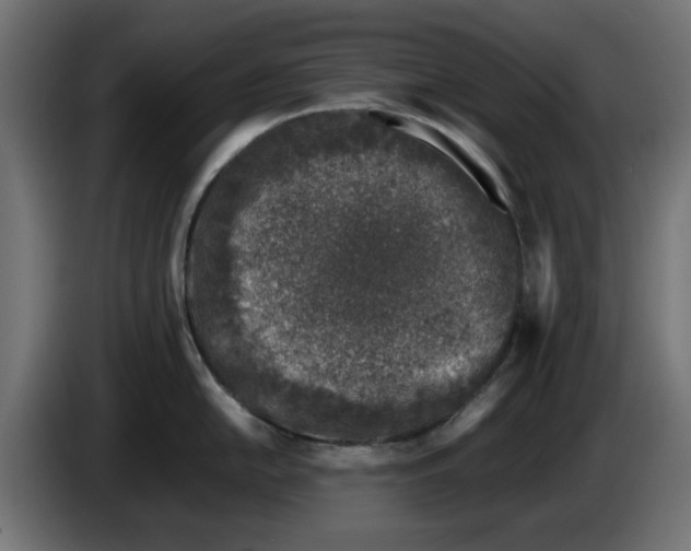 X0000086031054200704131908