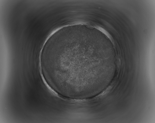 X0000086031055200704131908