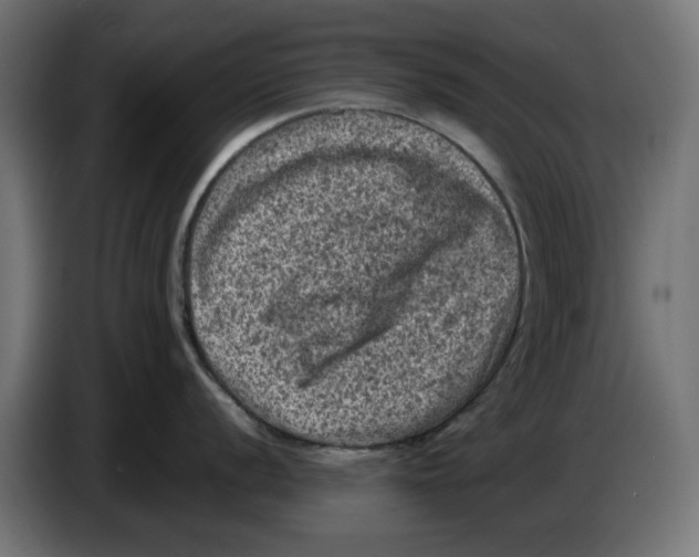 X0000086031056200704131908