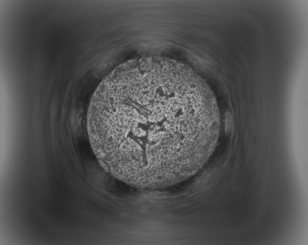 X0000086031059200704131908