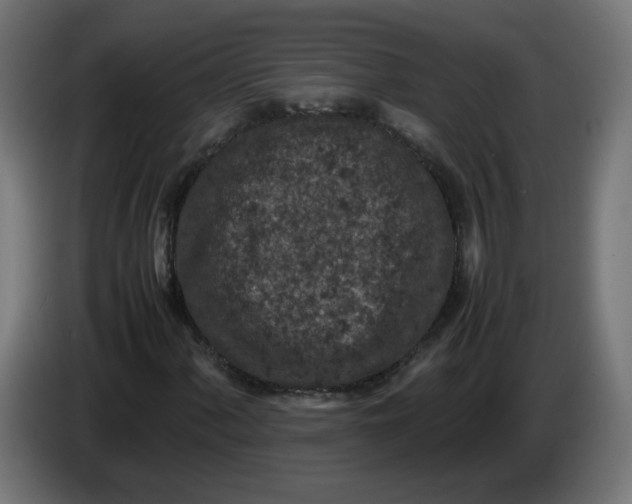 X0000086031060200704131908