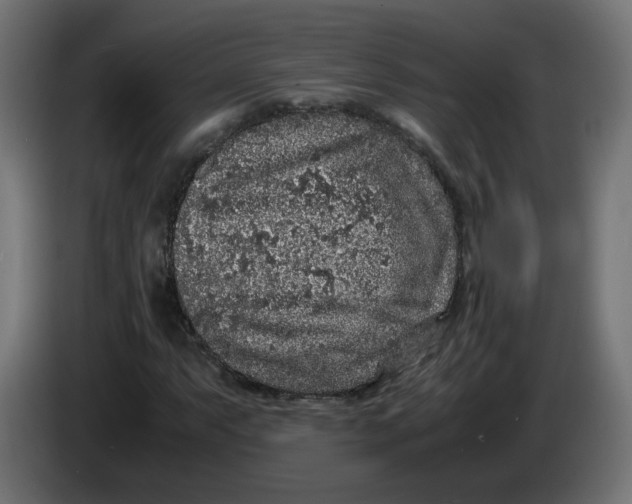 X0000086031063200704131908