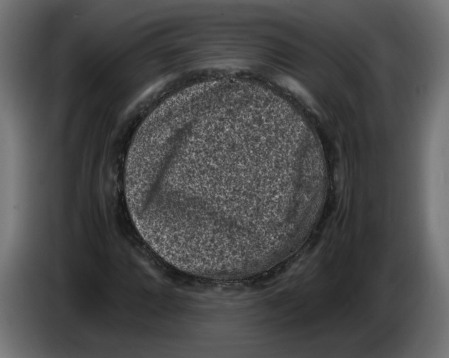 X0000086031064200704131908