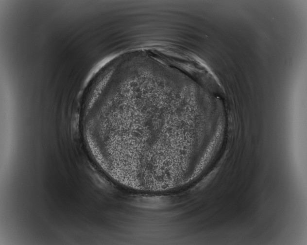 X0000086031066200704131907