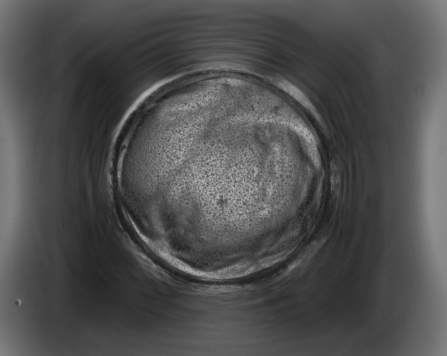 X0000086031068200704131907