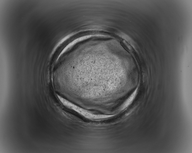 X0000086031069200704131907