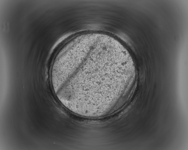 X0000086031070200704131907