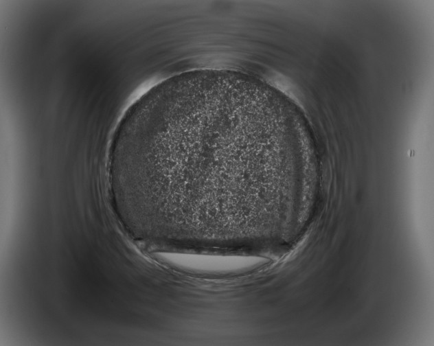 X0000086031071200704131907