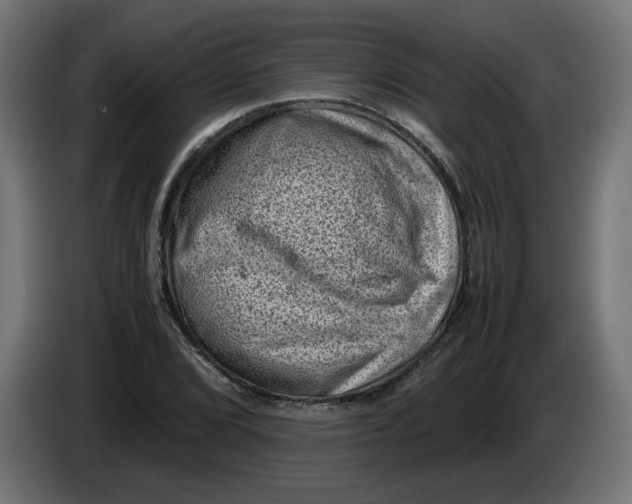 X0000086031072200704131907