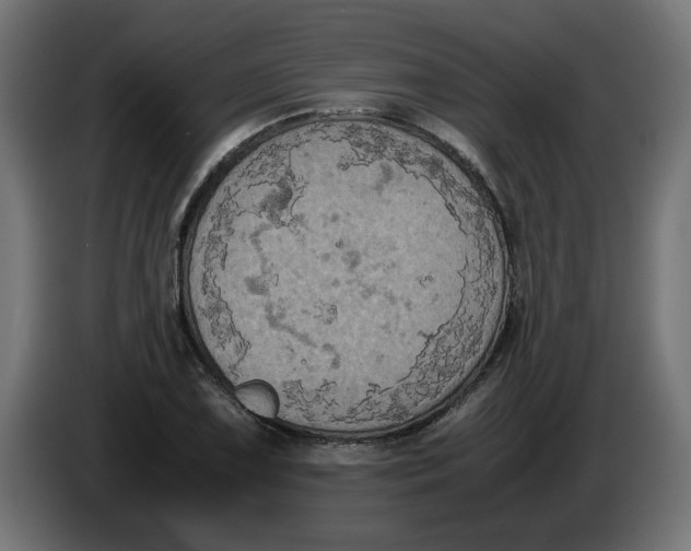 X0000086031075200704131907