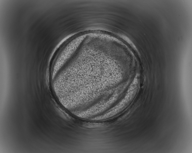 X0000086031076200704131907