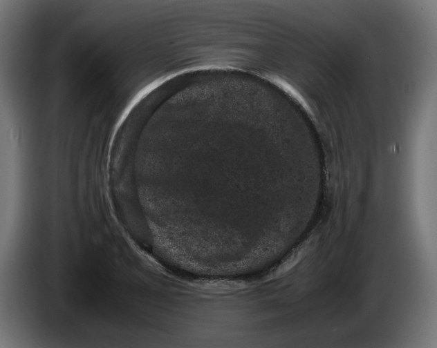 X0000086031077200704131907