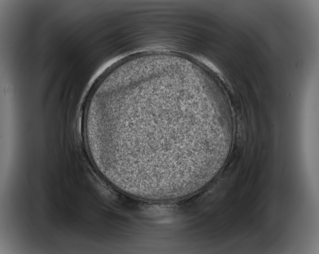 X0000086031078200704131907