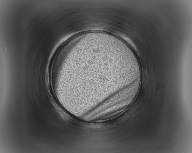 X0000086031080200704131907