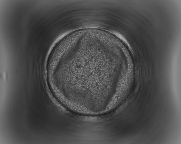 X0000086031088200704131907