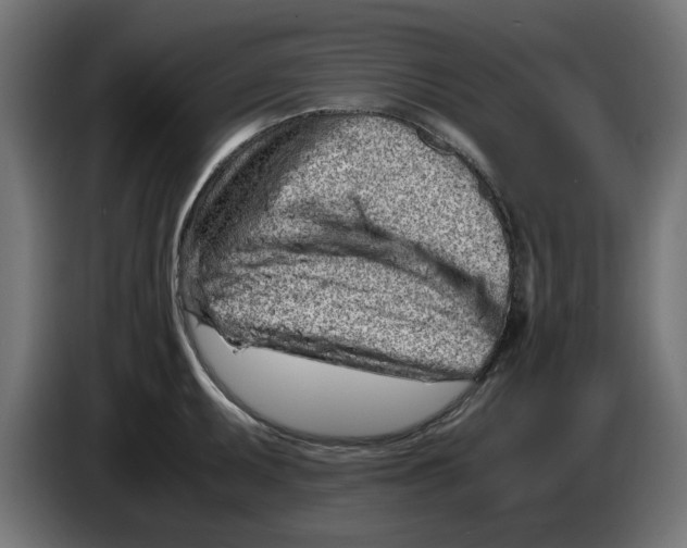 X0000086031095200704131907