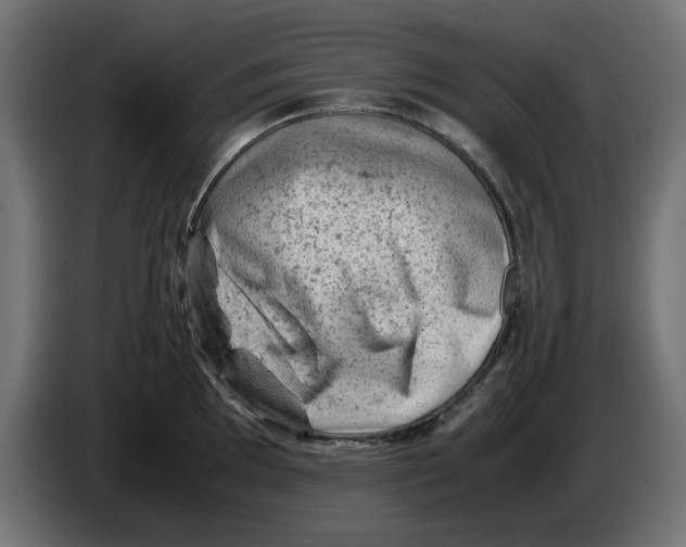 X0000086031097200704131907