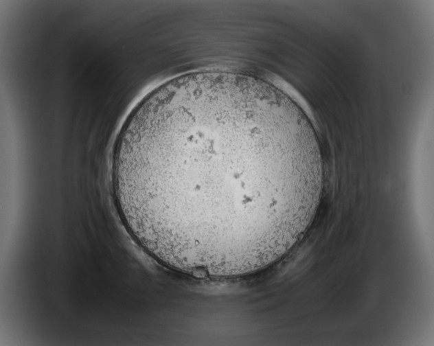 X0000086031099200704131907