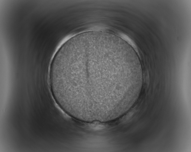 X0000086031103200704131907