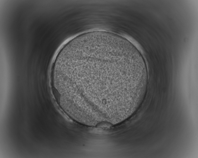 X0000086031104200704131907