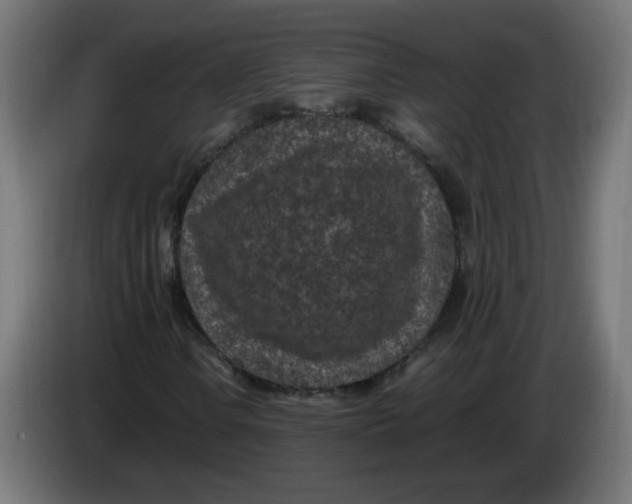 X0000086031106200704131906