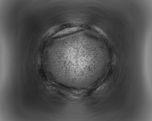 X0000086031110200704131906