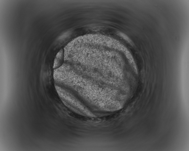 X0000086031111200704131906