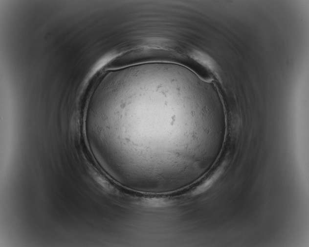 X0000086031114200704131906