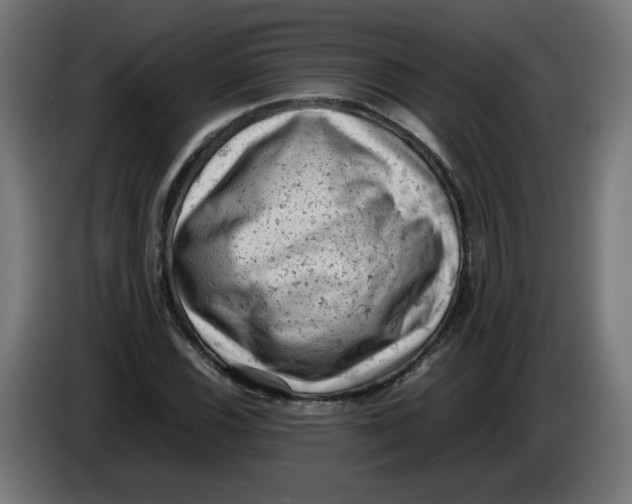 X0000086031116200704131906