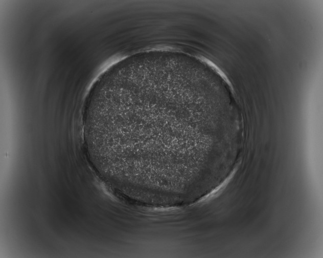 X0000086031117200704131906